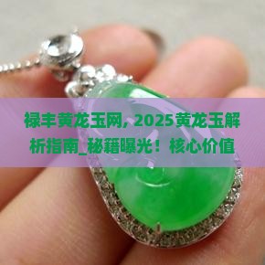 禄丰黄龙玉网
