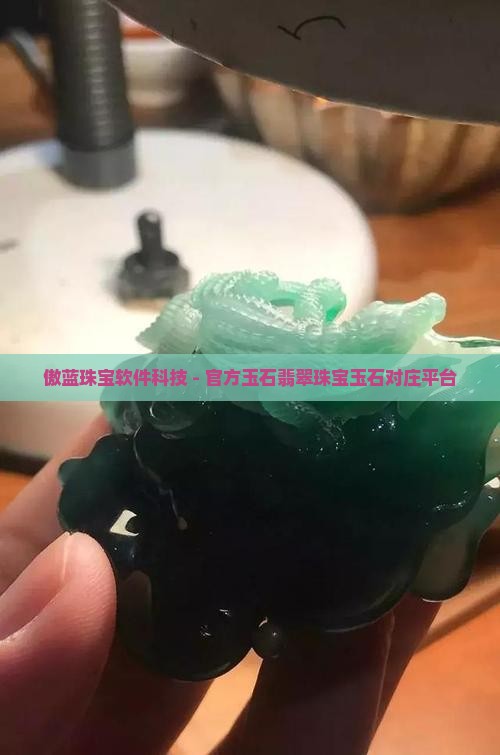 卖珠宝玉石的软件