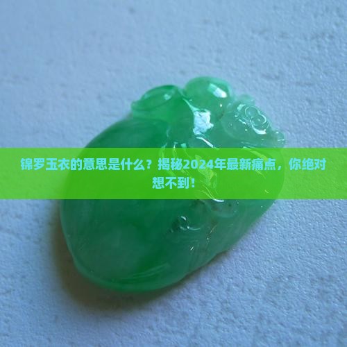锦罗玉衣的意思