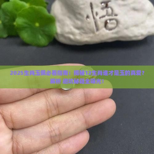 12生肖里谁适合佩戴玉 12生肖里谁适合佩戴玉