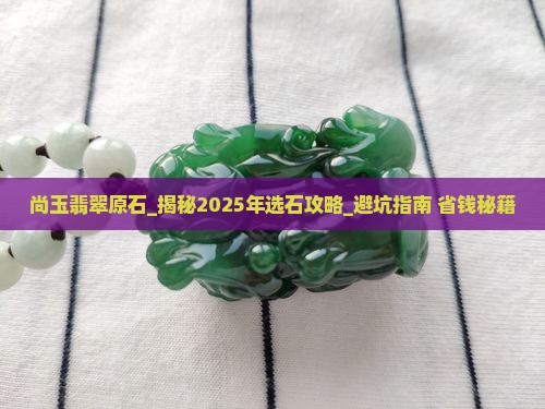 尚玉翡翠原石