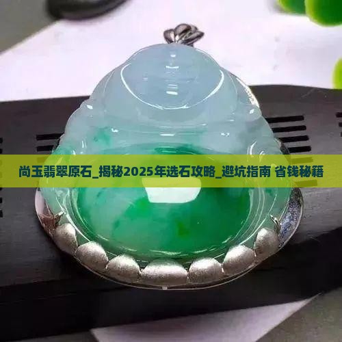 尚玉翡翠原石