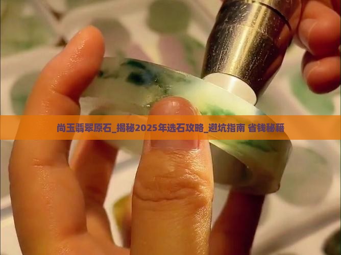 尚玉翡翠原石