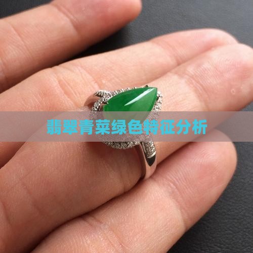 翡翠青菜绿色特征分析