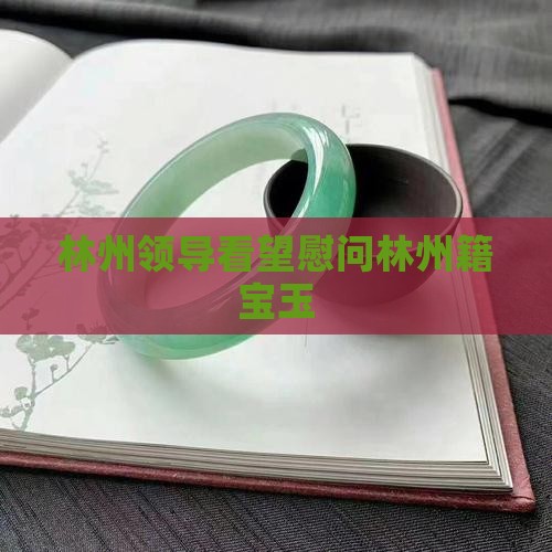 林州领导看望慰问林州籍宝玉