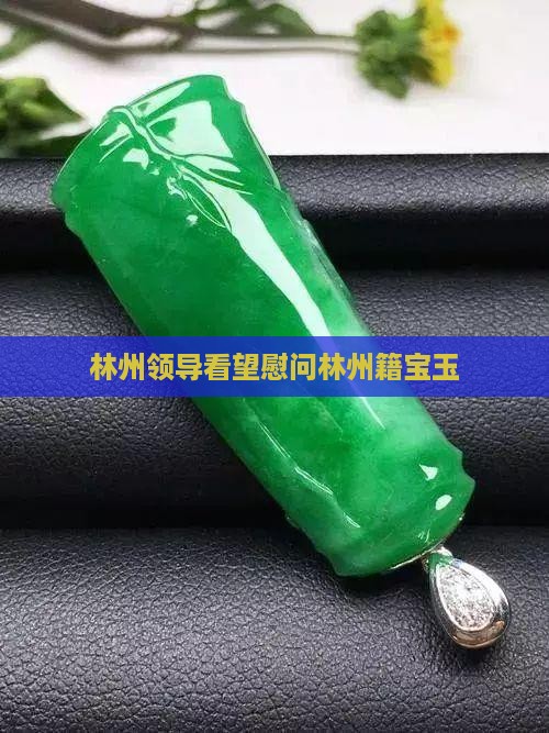 林州领导看望慰问林州籍宝玉