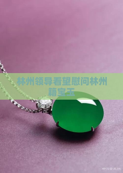 林州领导看望慰问林州籍宝玉