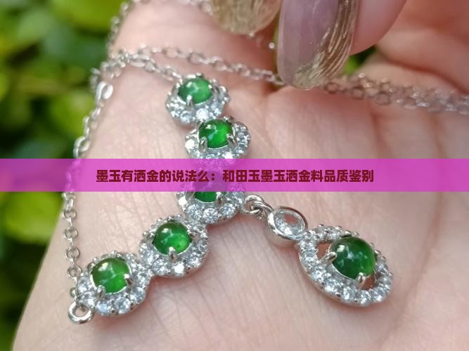 墨玉有洒金的说法么：和田玉墨玉洒金料品质鉴别