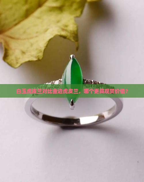 白玉虎皮兰对比金边虎皮兰，哪个更具观赏价值？