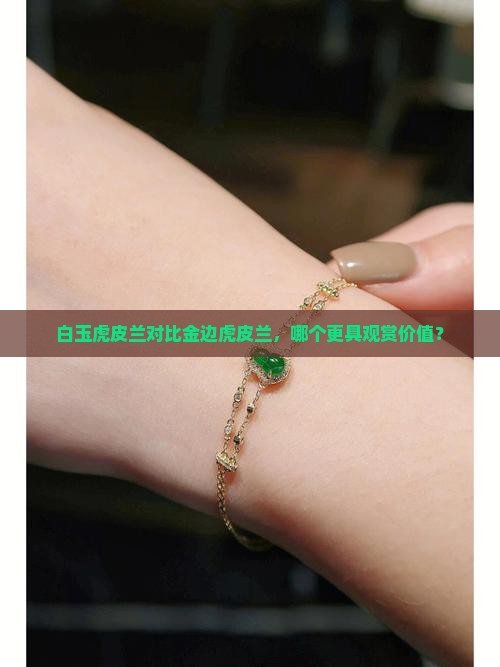 白玉虎皮兰对比金边虎皮兰，哪个更具观赏价值？