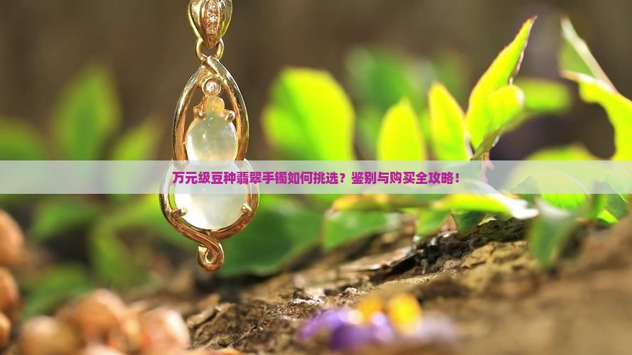 万元级豆种翡翠手镯如何挑选？鉴别与购买全攻略！