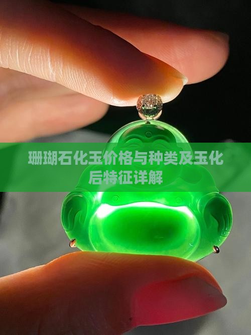 珊瑚石化玉价格与种类及玉化后特征详解