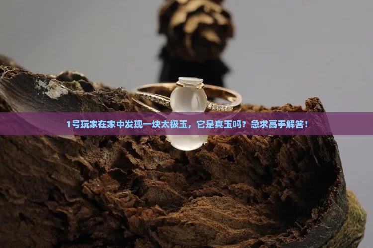 1号玩家在家中发现一块太极玉，它是真玉吗？急求高手解答！