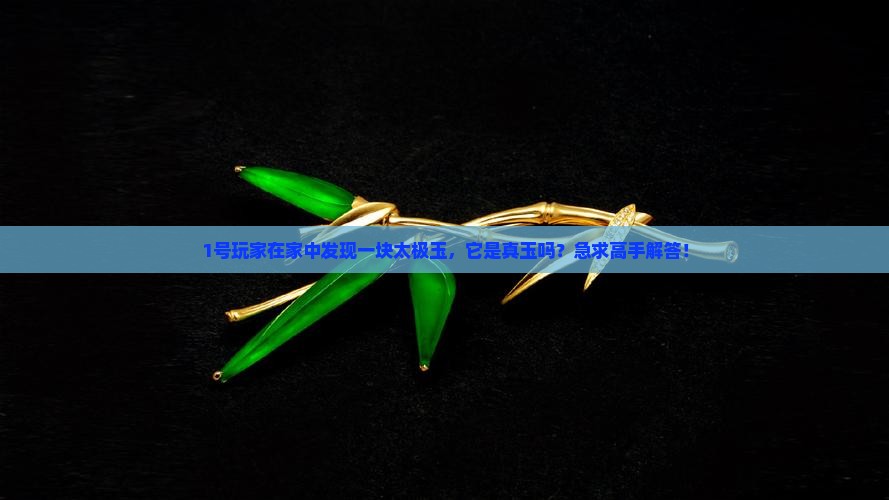 1号玩家在家中发现一块太极玉，它是真玉吗？急求高手解答！