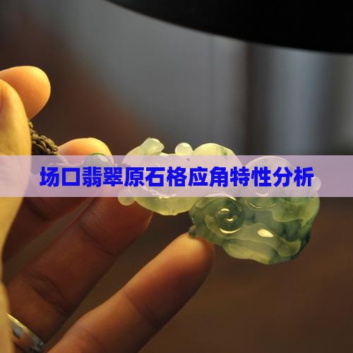 场口翡翠原石格应角特性分析