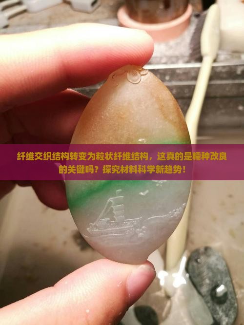 纤维交织结构转变为粒状纤维结构，这真的是糯种改良的关键吗？探究材料科学新趋势！