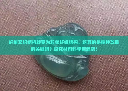 纤维交织结构转变为粒状纤维结构，这真的是糯种改良的关键吗？探究材料科学新趋势！