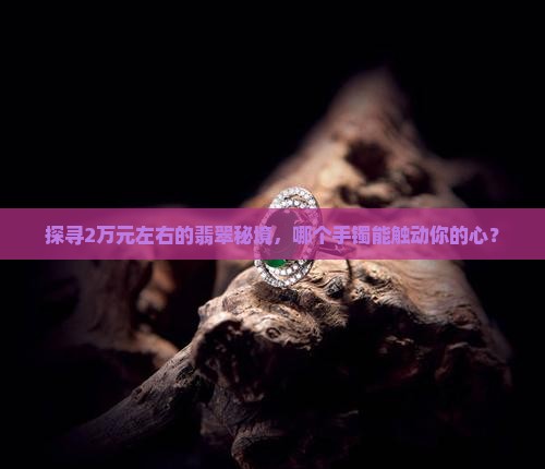 探寻2万元左右的翡翠秘境，哪个手镯能触动你的心？
