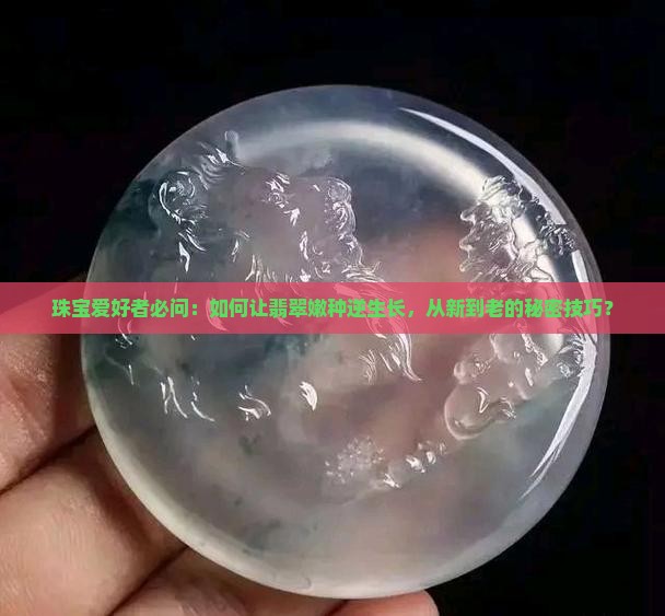 珠宝爱好者必问：如何让翡翠嫩种逆生长，从新到老的秘密技巧？