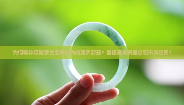 为何糯种带紫罗兰翡翠成为收藏界新宠？揭秘其投资痛点和市场热词！