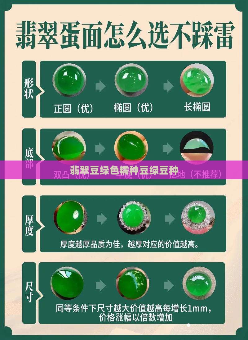 翡翠豆绿色糯种豆绿豆种