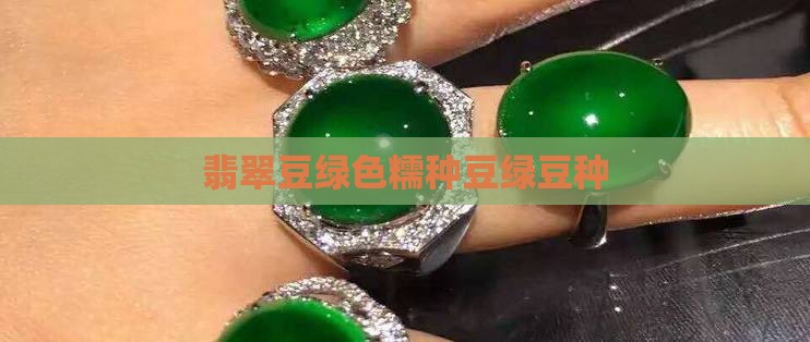 翡翠豆绿色糯种豆绿豆种