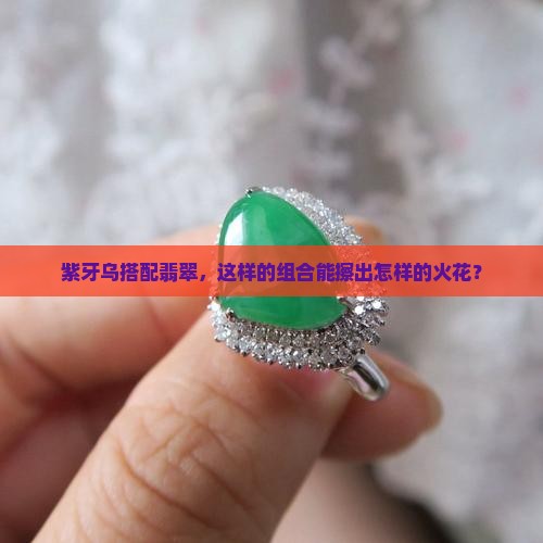 紫牙乌搭配翡翠，这样的组合能擦出怎样的火花？