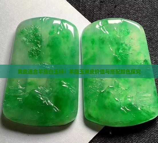黄皮适合羊脂白玉吗：羊脂玉黄皮价值与搭配颜色探究