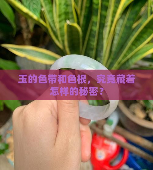 玉的色带和色根，究竟藏着怎样的秘密？