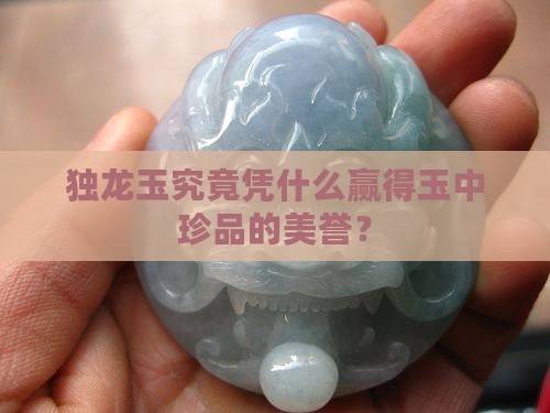 独龙玉究竟凭什么赢得玉中珍品的美誉？