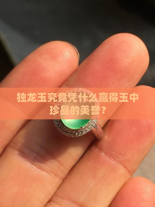 独龙玉究竟凭什么赢得玉中珍品的美誉？