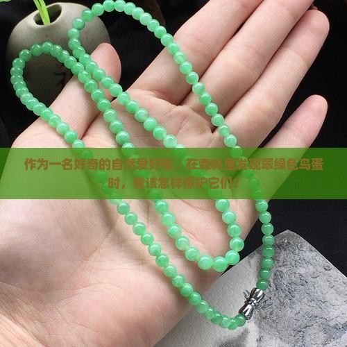 作为一名好奇的自然爱好者，在森林里发现翠绿色鸟蛋时，我该怎样保护它们？