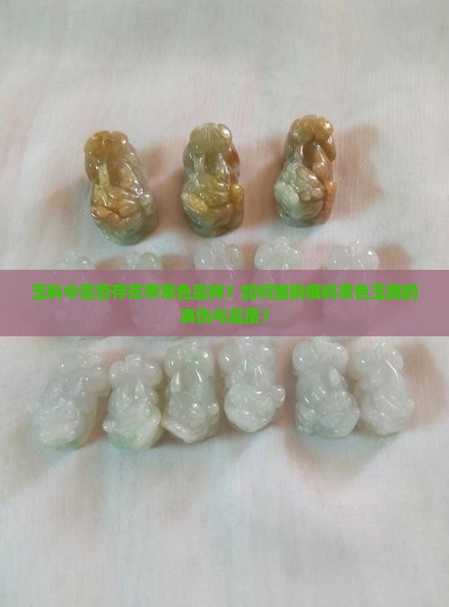 玉料中是否存在带翠色品种？如何鉴别俄料翠色玉器的真伪与品质？