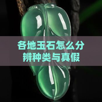 各地玉石怎么分辨种类与真假