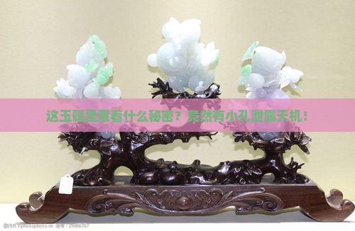这玉髓里藏着什么秘密？竟然有小孔泄露天机！
