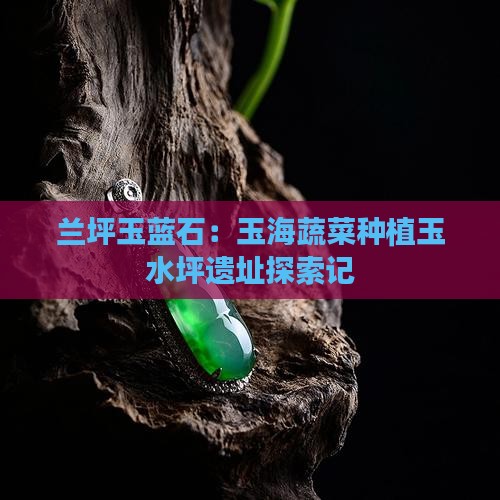 兰坪玉蓝石：玉海蔬菜种植玉水坪遗址探索记