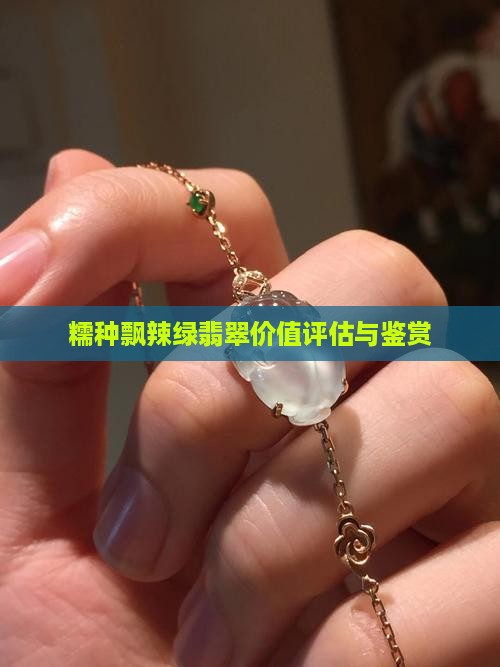 糯种飘辣绿翡翠价值评估与鉴赏
