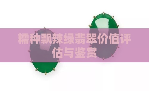 糯种飘辣绿翡翠价值评估与鉴赏