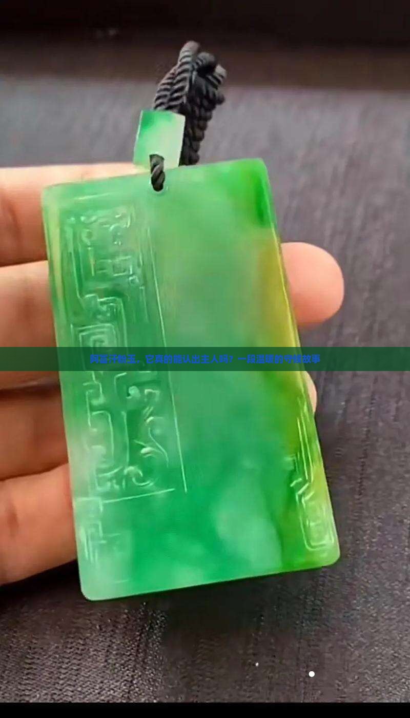 阿富汗粉玉，它真的能认出主人吗？一段温暖的守候故事