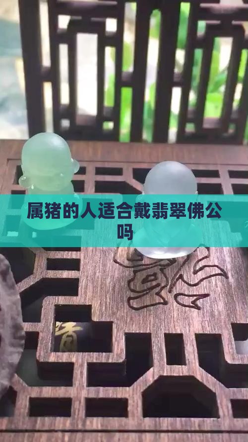 属猪的人适合戴翡翠佛公吗