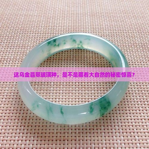 这乌金翡翠玻璃种，是不是藏着大自然的秘密惊喜？