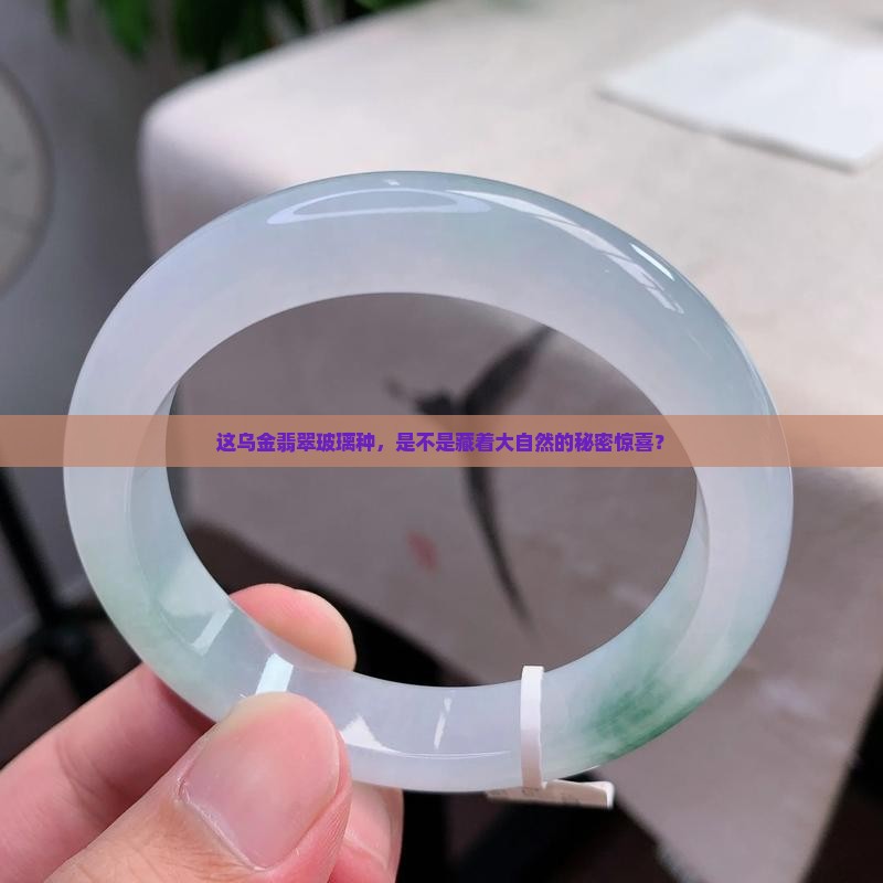 这乌金翡翠玻璃种，是不是藏着大自然的秘密惊喜？