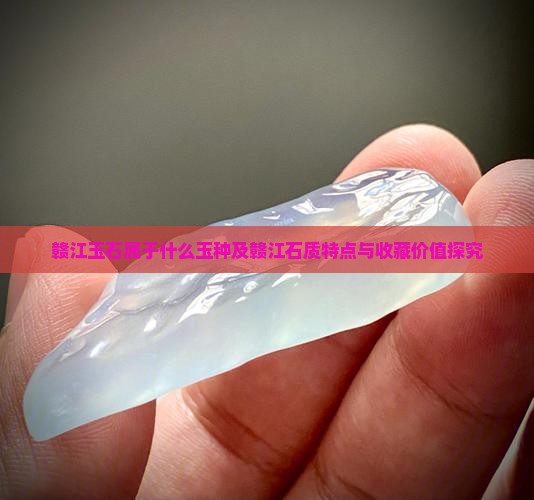 赣江玉石属于什么玉种及赣江石质特点与收藏价值探究