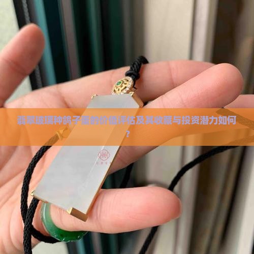 翡翠玻璃种鸽子蛋的价值评估及其收藏与投资潜力如何？