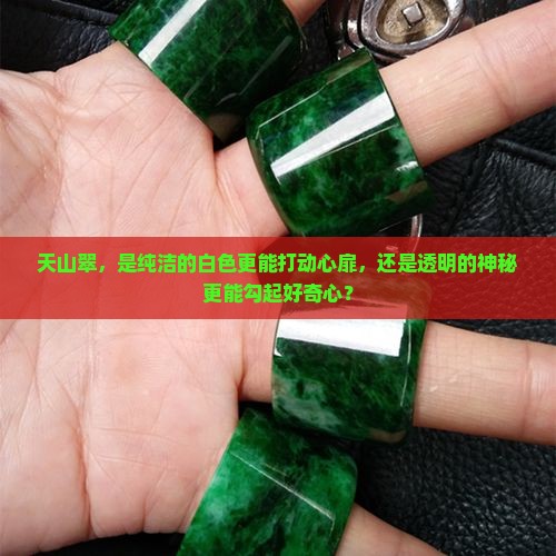 天山翠，是纯洁的白色更能打动心扉，还是透明的神秘更能勾起好奇心？