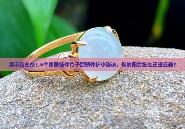 绿手指必备！5个家居挂件竹子翡翠养护小秘诀，你的阳台怎么还没变美？