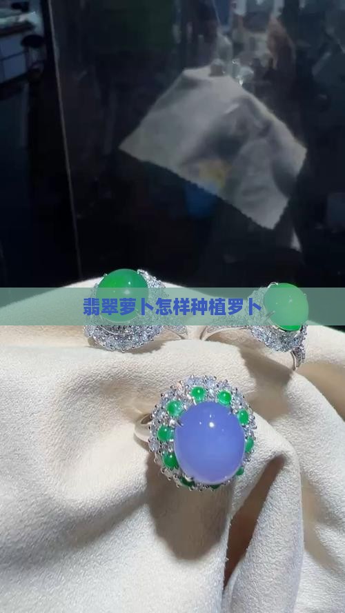 翡翠萝卜怎样种植罗卜