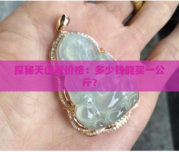 探秘天山翠价格：多少钱能买一公斤？