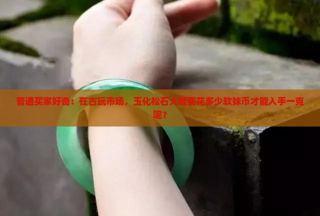 普通买家好奇：在古玩市场，玉化松石大概要花多少软妹币才能入手一克呢？