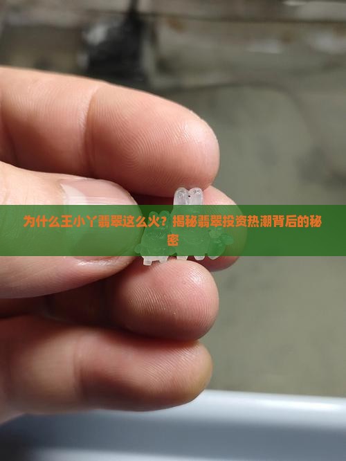 为什么王小丫翡翠这么火？揭秘翡翠投资热潮背后的秘密